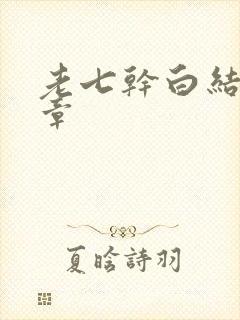 老七干白结33章封面