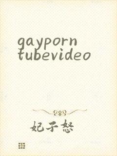 gayporntubevideo