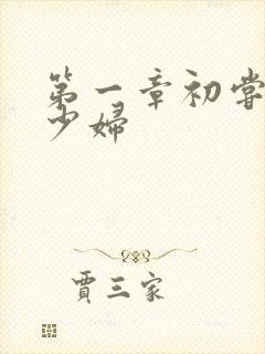 第一章初尝极品少妇