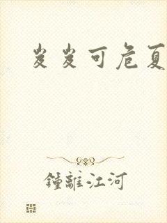 岌岌可危夏小正封面