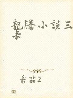 龙腾小说三宝局长