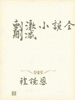 刺激小说全文无删减