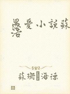 愚爱小说苏倩孙浩