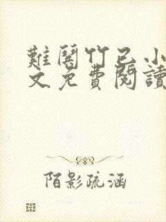 难哄竹已小说全文免费阅读无弹窗