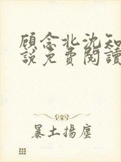 顾念北沈知宁小说免费阅读最新章节