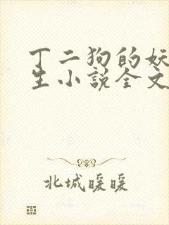 丁二狗的妖孽人生小说全文免费笔趣阁