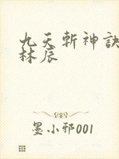 九天斩神诀小说林辰封面