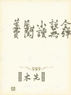 叶风小说全文免费阅读无弹窗最新章节