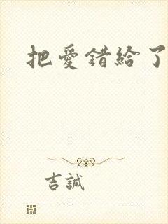 把爱错给了你