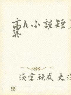 高h小说短篇合集