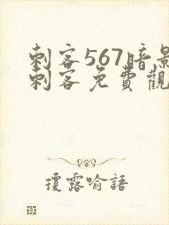 刺客567暗影刺客免费观看