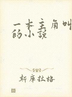 一本主角叫林萧的小说