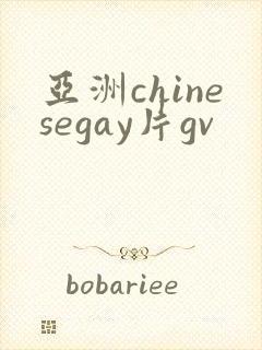 亚洲chinesegay片gv封面