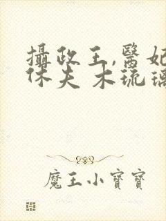 摄政王,医妃要休夫 木琉璃