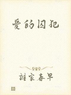 爱的囚犯封面