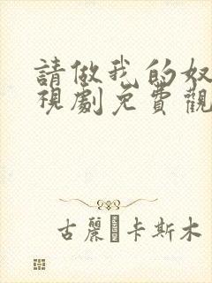 请做我的奴隶电视剧免费观看