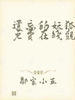 遗忘的妖狐动漫免费在线观看