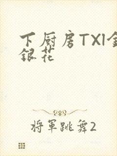 下厨房TXl金银花封面