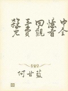 杀手回忆中文版免费观看全集