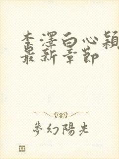 李泽白心颖小说最新章节封面