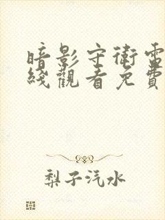 暗影守卫电影在线观看免费高清