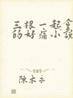 三根一起会坏掉的好痛小说