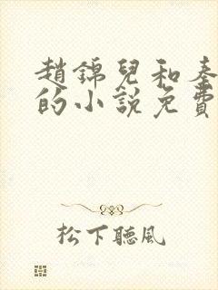 赵锦儿和秦慕修的小说免费阅读全文