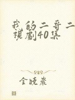 我的二哥二嫂电视剧40集