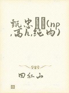 甄忠�(np,高h,纯肉)