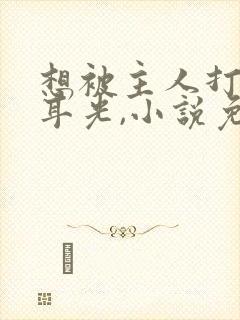 想被主人打,扇耳光,小说免费阅读