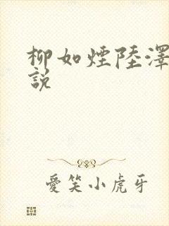 柳如烟陆泽的小说