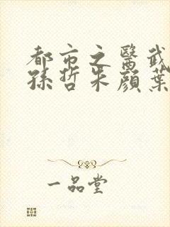 都市之医武风流孙哲朱颜叶巧