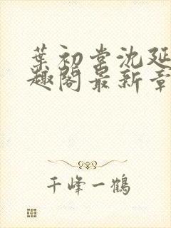 叶初棠沈延川笔趣阁最新章节更新