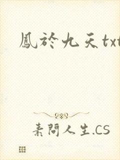 凤于九天txt