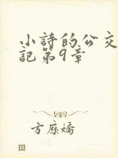 小诗的公交车日记第9章封面