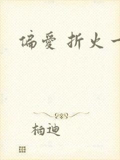 偏爱 折火一夏封面