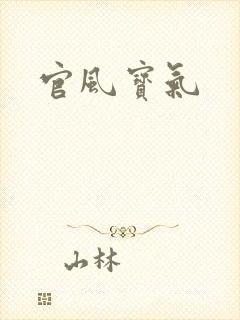 官风宝气封面