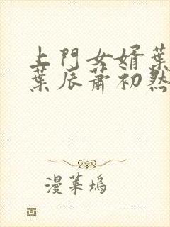 上门女婿叶辰 叶辰萧初然531