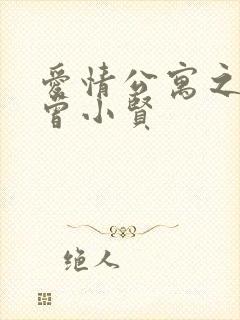 爱情公寓之极品曾小贤