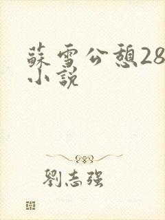 苏雪公憩28篇小说