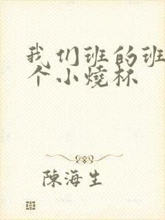 我们班的班花是个小烧杯封面