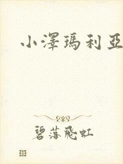 小泽玛利亚作品