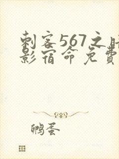 刺客567之暗影宿命免费观看