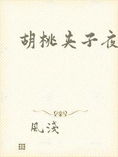 胡桃夹子夜未眠