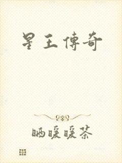 星王传奇