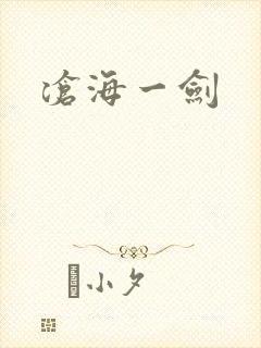 沧海一剑封面