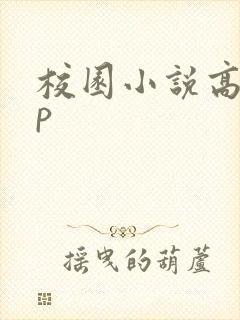 校园小说高hnp