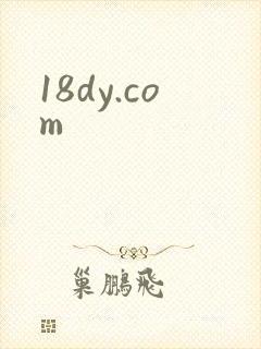 18dy.com
