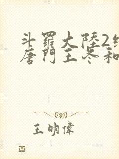 斗罗大陆2绝世唐门王冬和霍雨浩