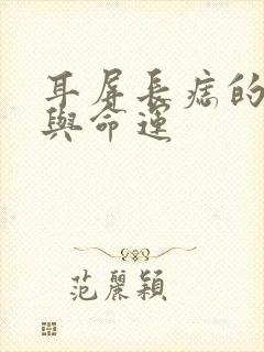 耳屏长痣的位置与命运